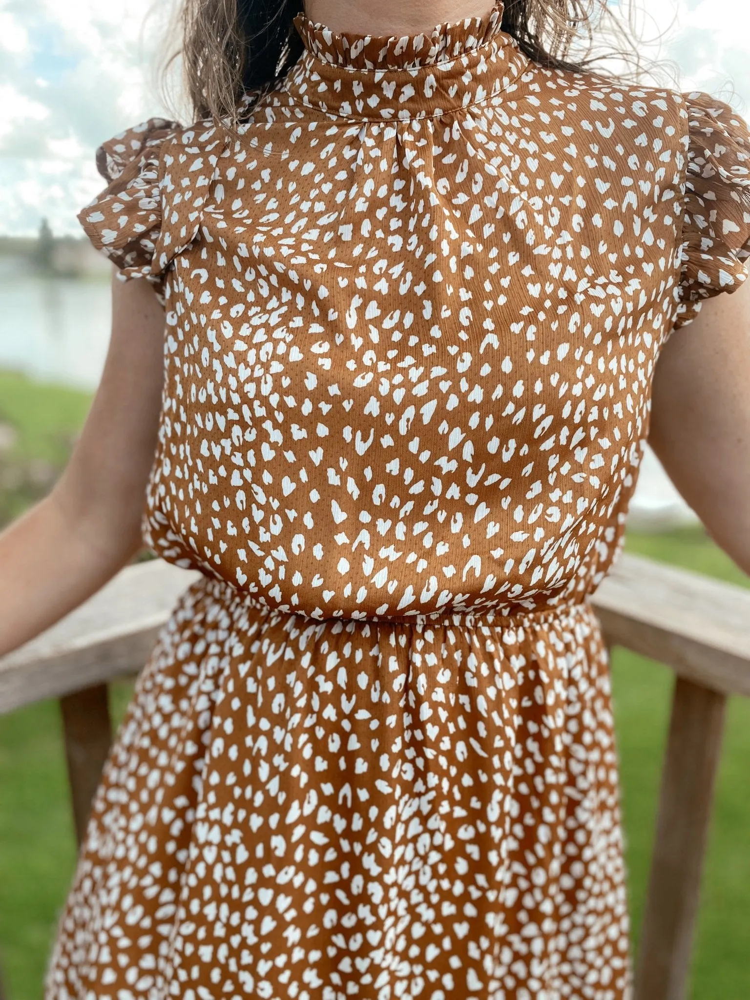 Angelina Animal Print Dress