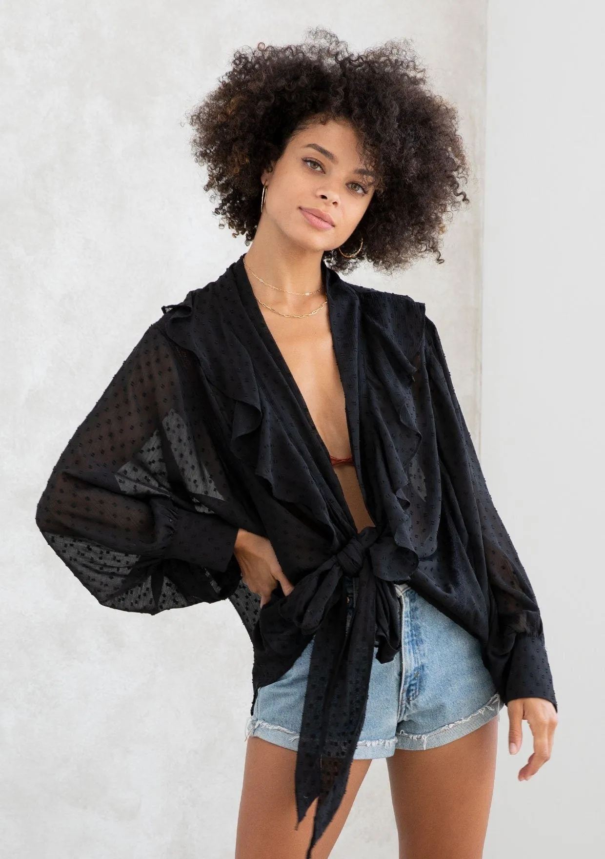 Celeste Chiffon Tie Front Top
