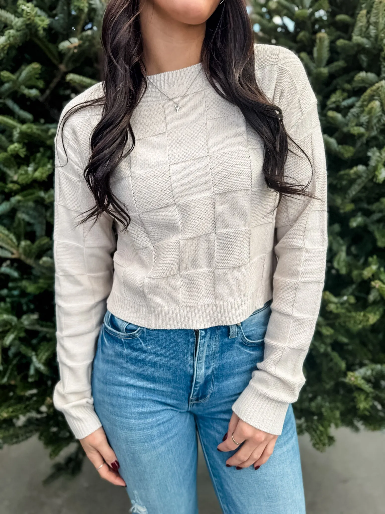 Check It Out Cropped Sweater - Oatmeal