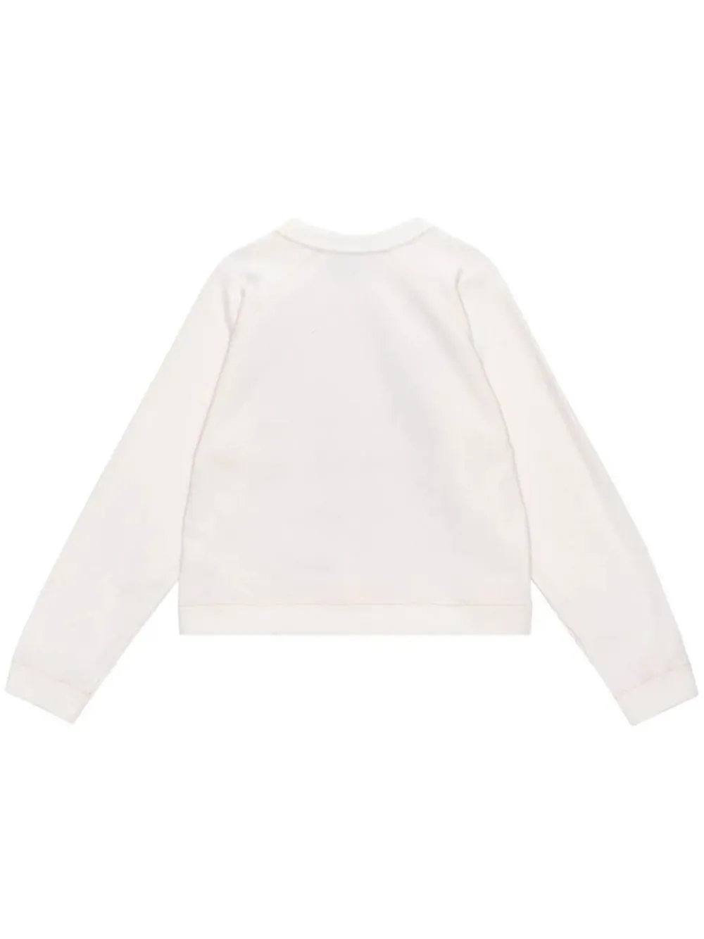 Isoli Raglan Strawberry Sweatshirt