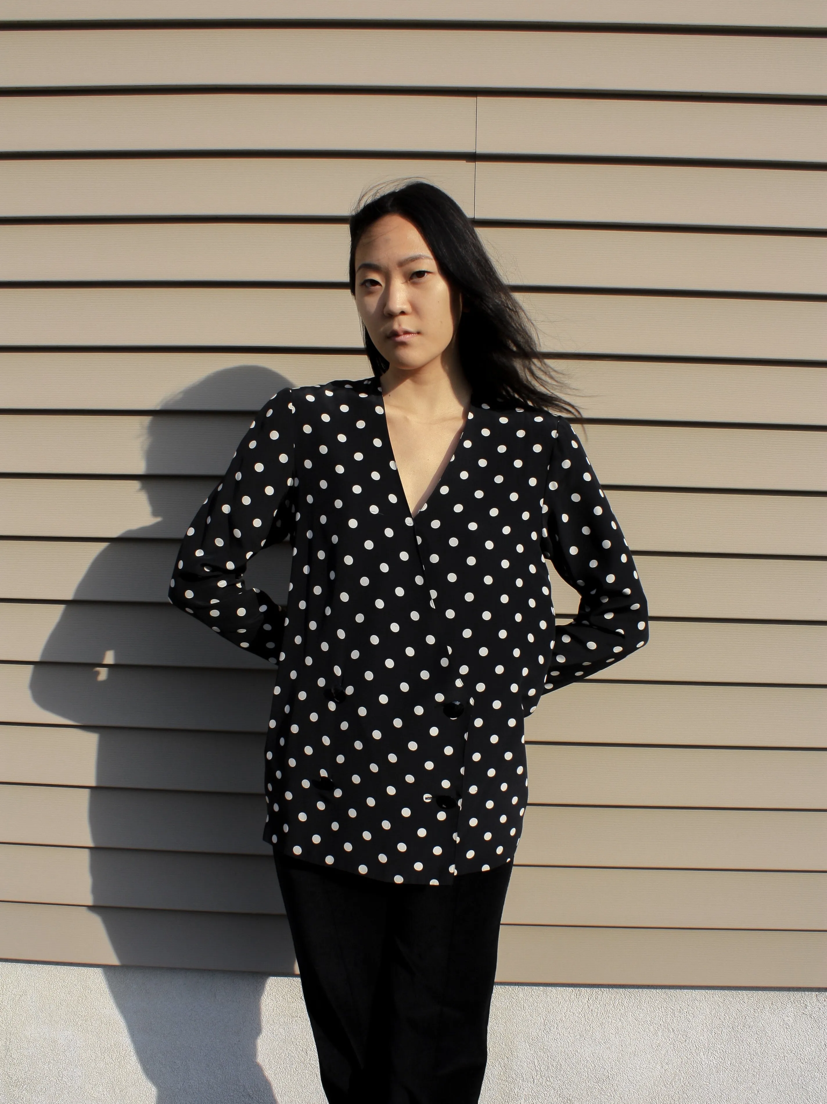 Polka Dot Silk Blouse
